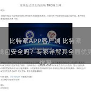 比特派APP客户端 比特派钱包安全吗？专家详解其全面优势