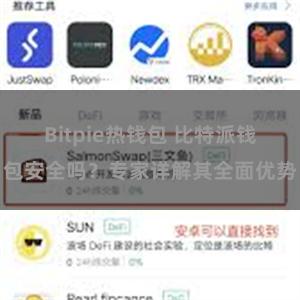 Bitpie热钱包 比特派钱包安全吗？专家详解其全面优势