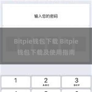 Bitpie钱包下载 Bitpie钱包下载及使用指南