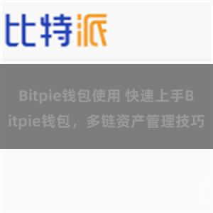 Bitpie钱包使用 快速上手Bitpie钱包，多链资产管理技巧