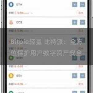 Bitpie轻量 比特派：全方位保护用户数字资产安全