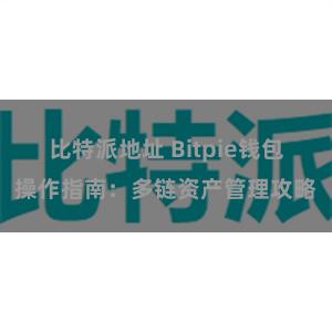 比特派地址 Bitpie钱包操作指南：多链资产管理攻略