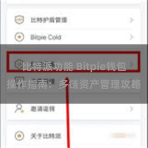 比特派功能 Bitpie钱包操作指南：多链资产管理攻略