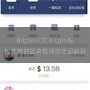Bitpie中文 Bitpie钱包支持的区块链网络全面解析