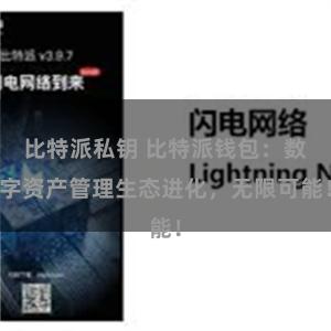 比特派私钥 比特派钱包：数字资产管理生态进化，无限可能！
