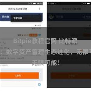 Bitpie教程官网 比特派钱包：数字资产管理生态进化，无限可能！