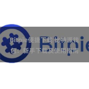 Bitpie便捷下载 比特派钱包：新手下载及使用指南