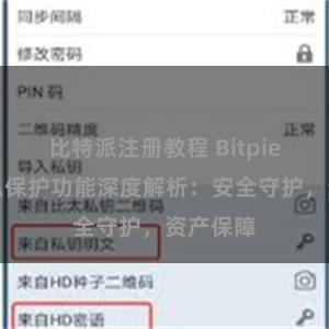 比特派注册教程 Bitpie钱包隐私保护功能深度解析：安全守护，资产保障