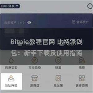 Bitpie教程官网 比特派钱包：新手下载及使用指南