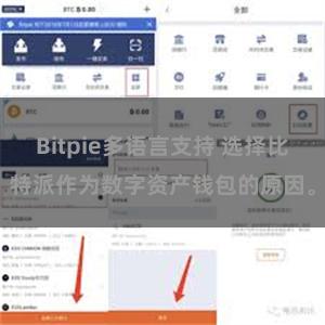 Bitpie多语言支持 选择比特派作为数字资产钱包的原因。