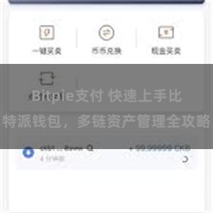 Bitpie支付 快速上手比特派钱包，多链资产管理全攻略