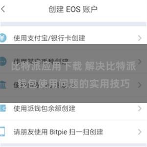 比特派应用下载 解决比特派钱包使用问题的实用技巧