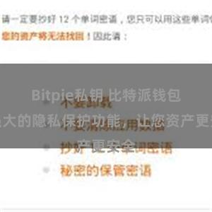 Bitpie私钥 比特派钱包：强大的隐私保护功能，让您资产更安全