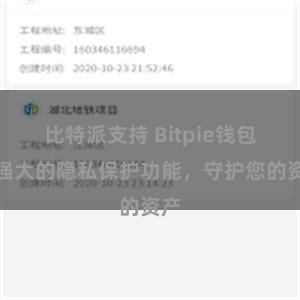 比特派支持 Bitpie钱包：强大的隐私保护功能，守护您的资产