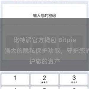 比特派官方钱包 Bitpie钱包：强大的隐私保护功能，守护您的资产