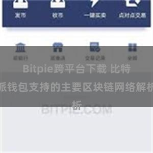 Bitpie跨平台下载 比特派钱包支持的主要区块链网络解析