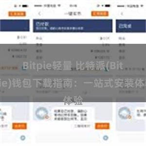 Bitpie轻量 比特派(Bitpie)钱包下载指南：一站式安装体验