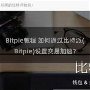 Bitpie教程 如何通过比特派(Bitpie)设置交易加速？