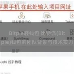 Bitpie轻钱包 比特派(Bitpie)钱包的团队背景与技术实力