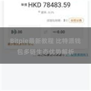 Bitpie最新教程 比特派钱包多链生态优势解析