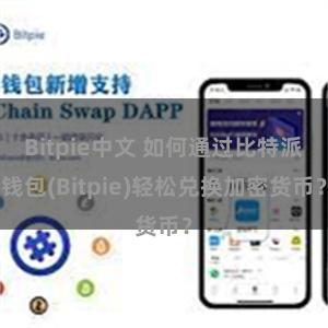Bitpie中文 如何通过比特派钱包(Bitpie)轻松兑换加密货币？