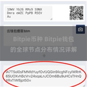 Bitpie币种 Bitpie钱包的全球节点分布情况详解