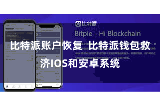 比特派账户恢复  比特派钱包救济IOS和安卓系统