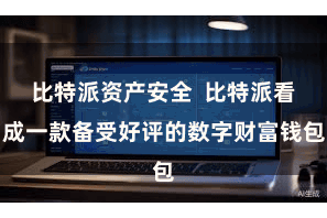 比特派资产安全 比特派看成一款备受好评的数字财富钱包