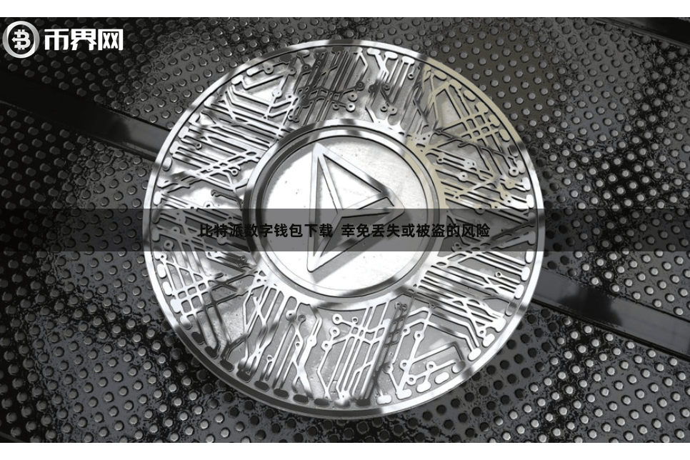 比特派数字钱包下载  幸免丢失或被盗的风险