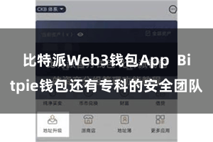 比特派Web3钱包App Bitpie钱包还有专科的安全团队
